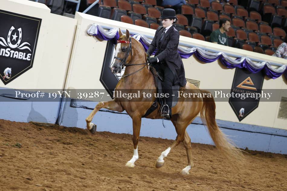 Proof 19YN_39287