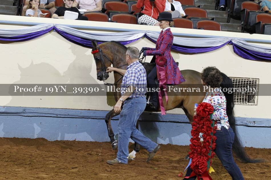 Proof 19YN_39390