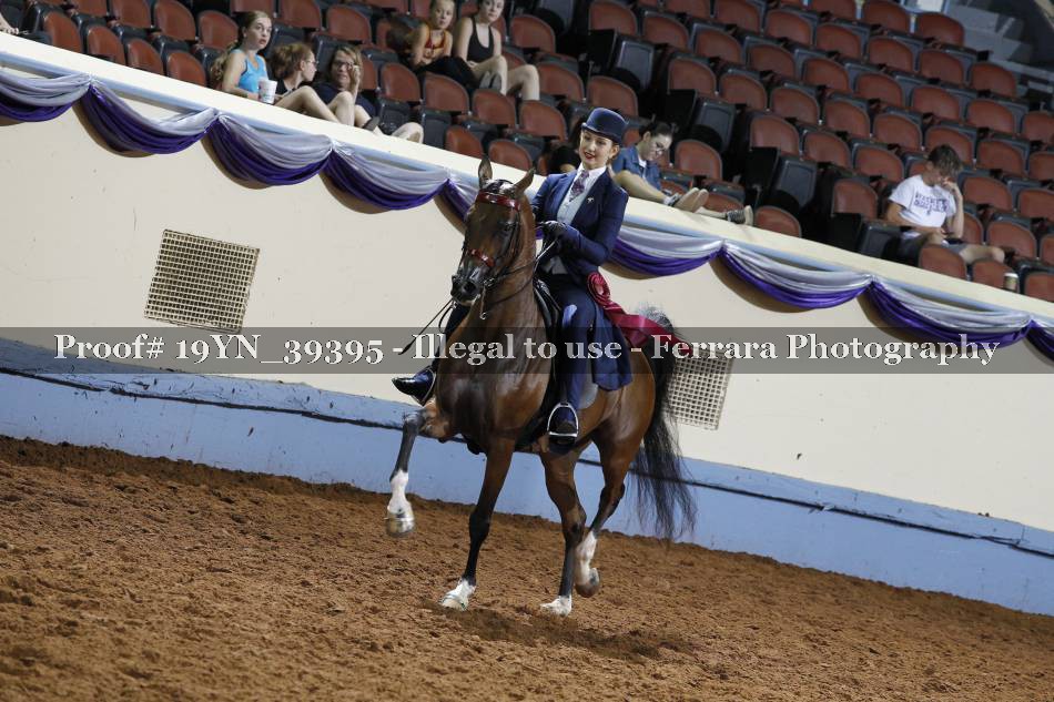 Proof 19YN_39395