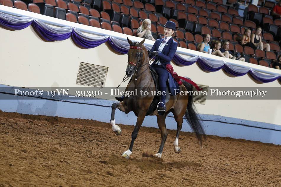 Proof 19YN_39396