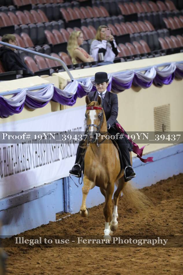 Proof 19YN_39437
