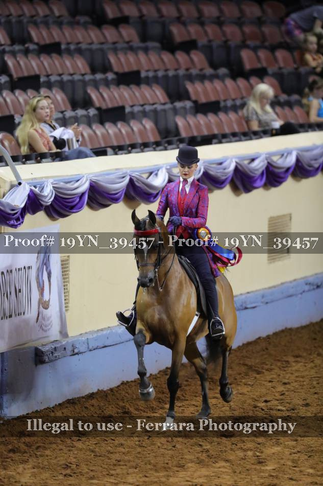 Proof 19YN_39457