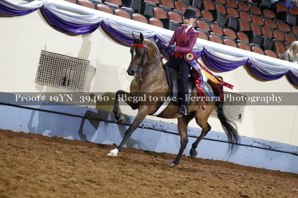 Proof 19YN_39460