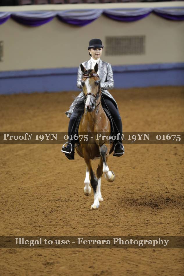 Proof 19YN_01675