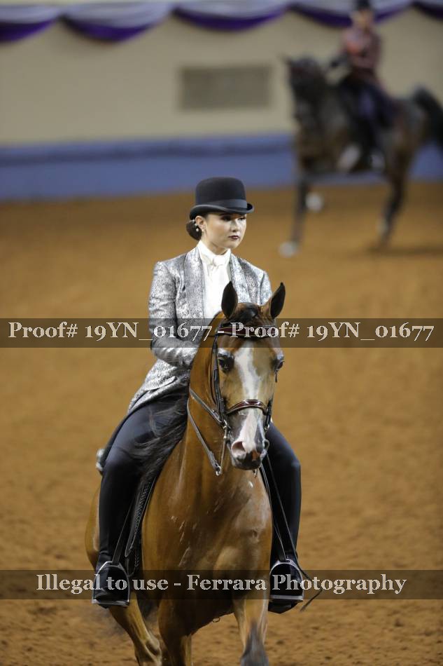 Proof 19YN_01677