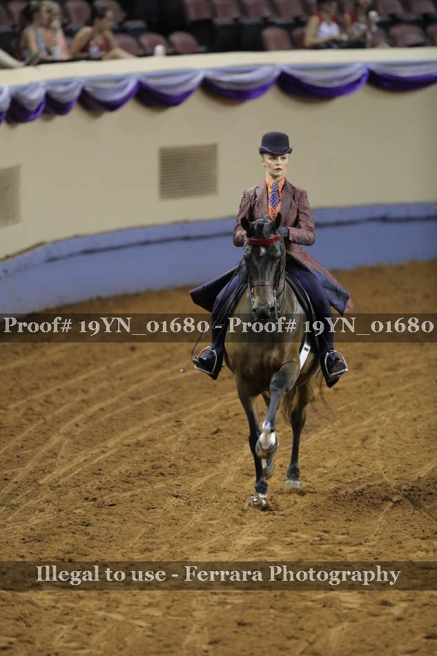 Proof 19YN_01680