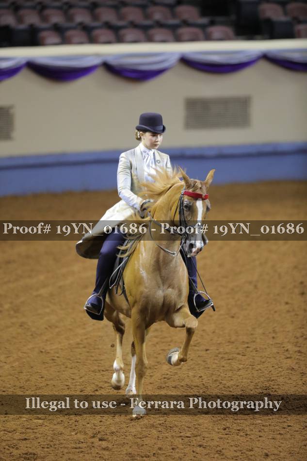Proof 19YN_01686