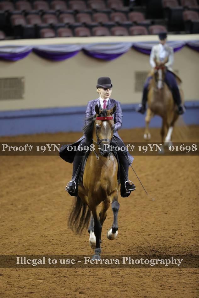 Proof 19YN_01698