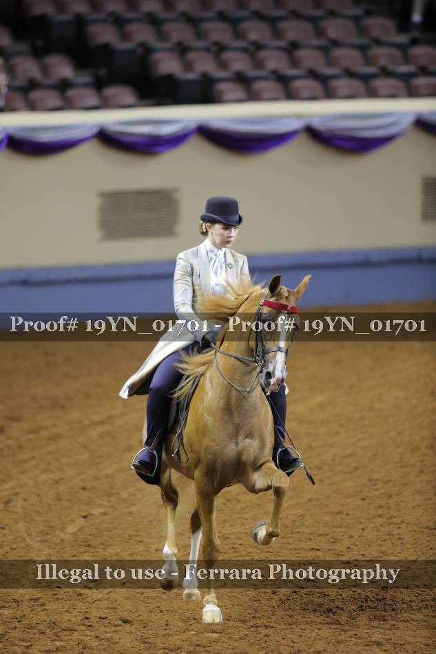 Proof 19YN_01701