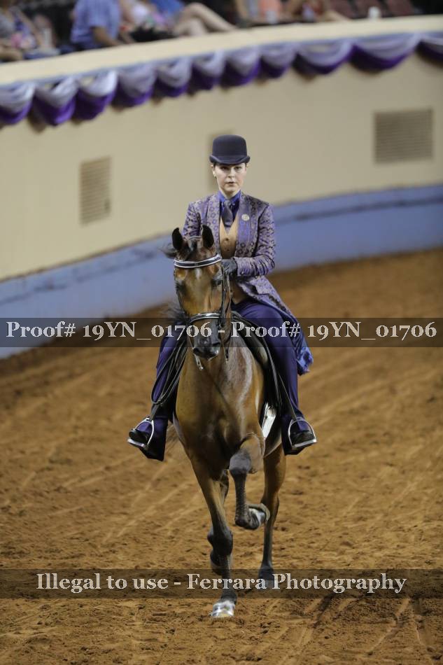 Proof 19YN_01706