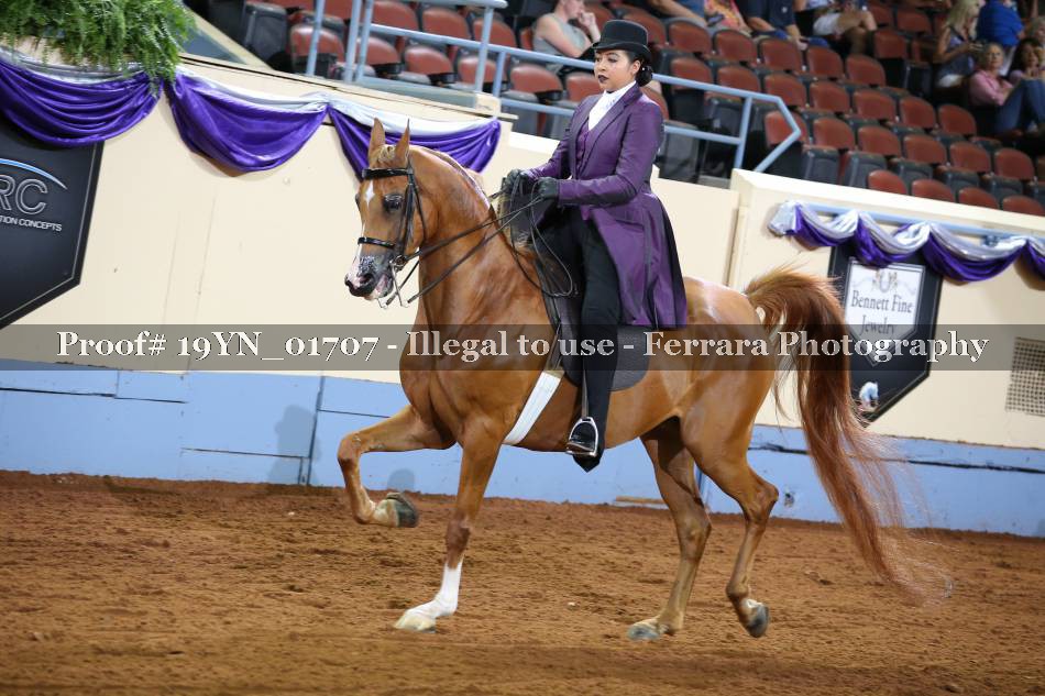 Proof 19YN_01707