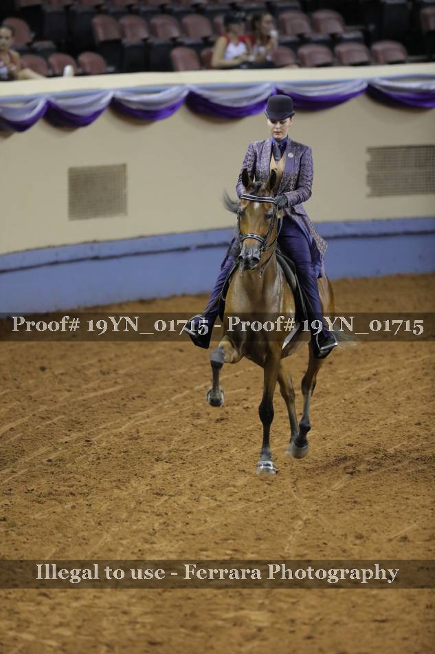Proof 19YN_01715