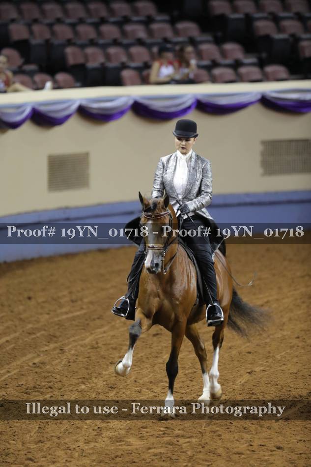 Proof 19YN_01718