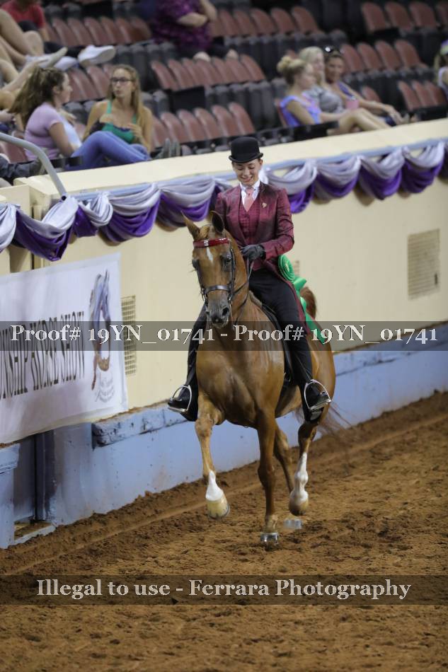 Proof 19YN_01741