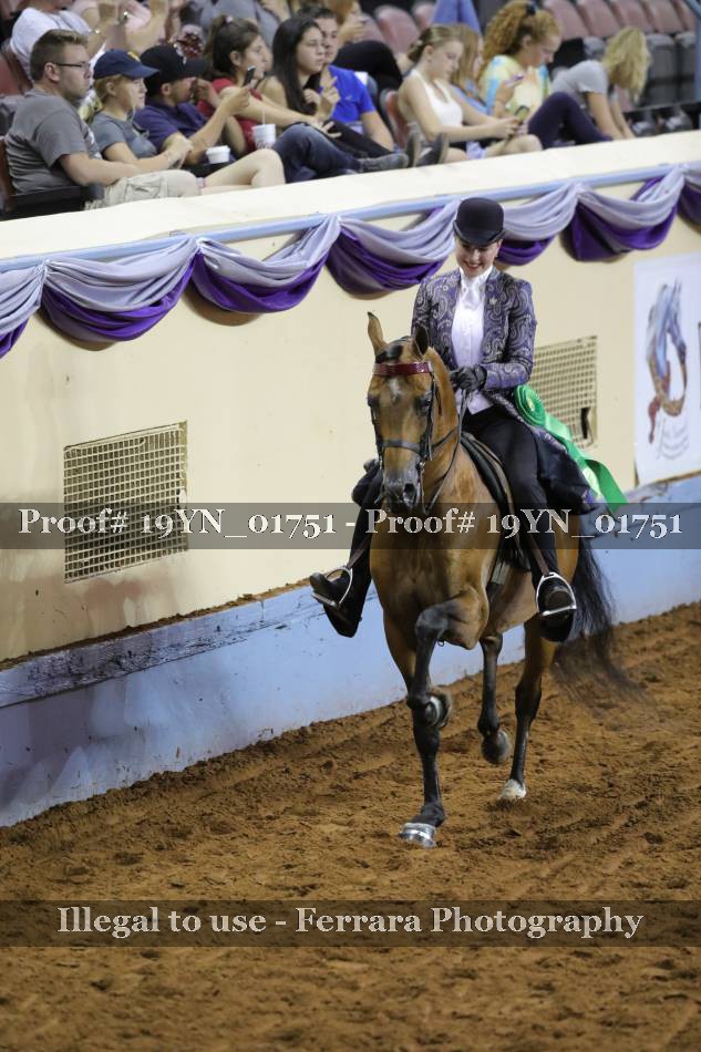 Proof 19YN_01751