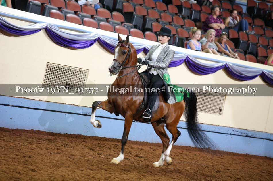 Proof 19YN_01757