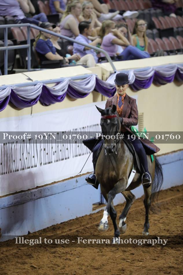 Proof 19YN_01760
