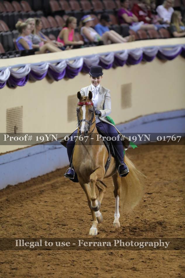 Proof 19YN_01767