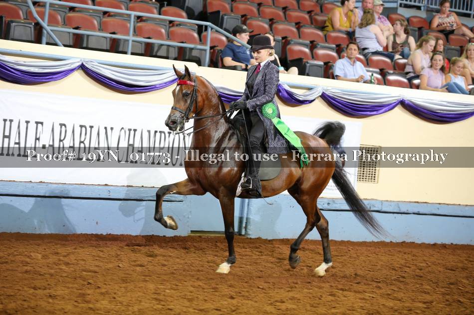 Proof 19YN_01773