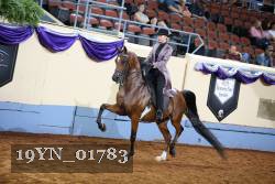19YN_01783 proof