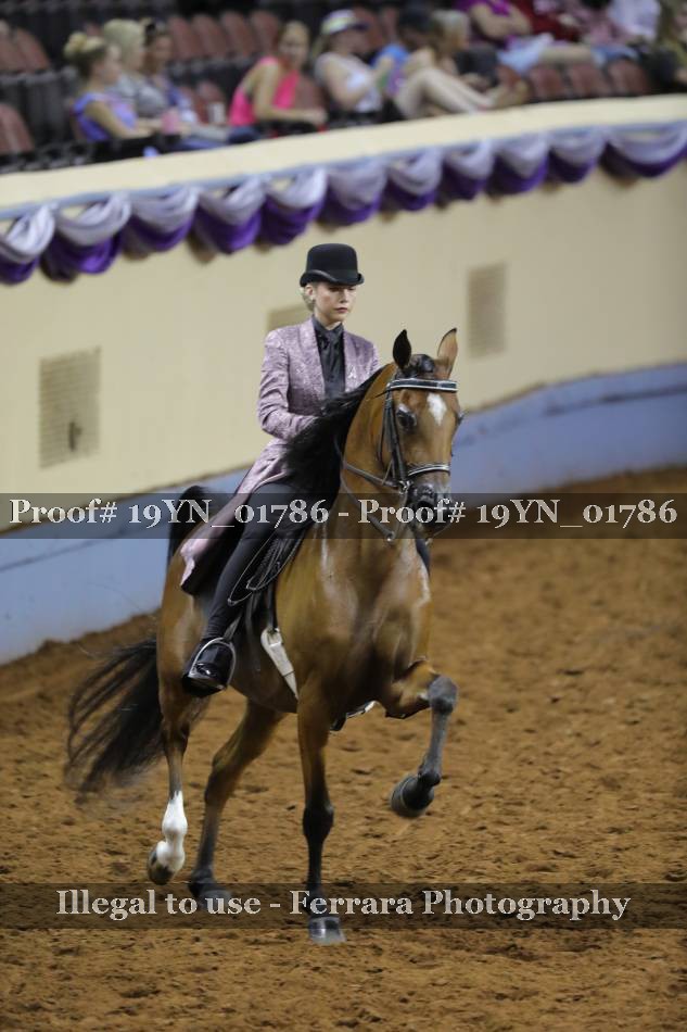 Proof 19YN_01786