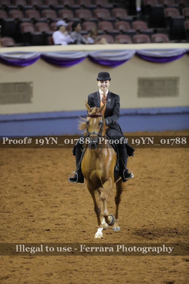 Proof 19YN_01788