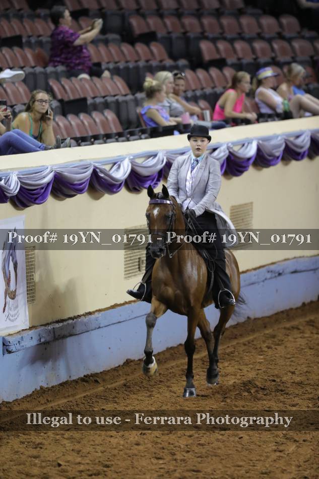 Proof 19YN_01791
