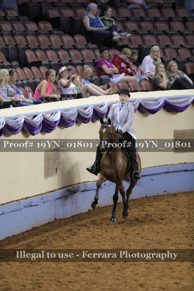 Proof 19YN_01801