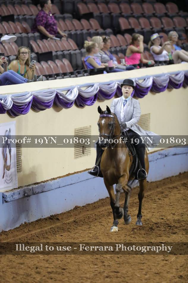 Proof 19YN_01803