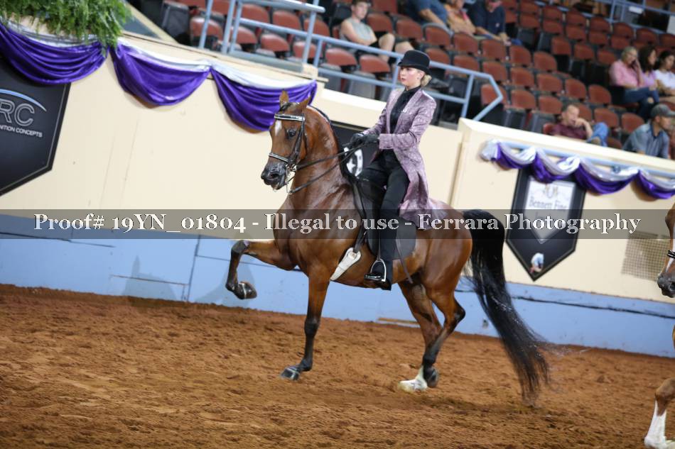 Proof 19YN_01804