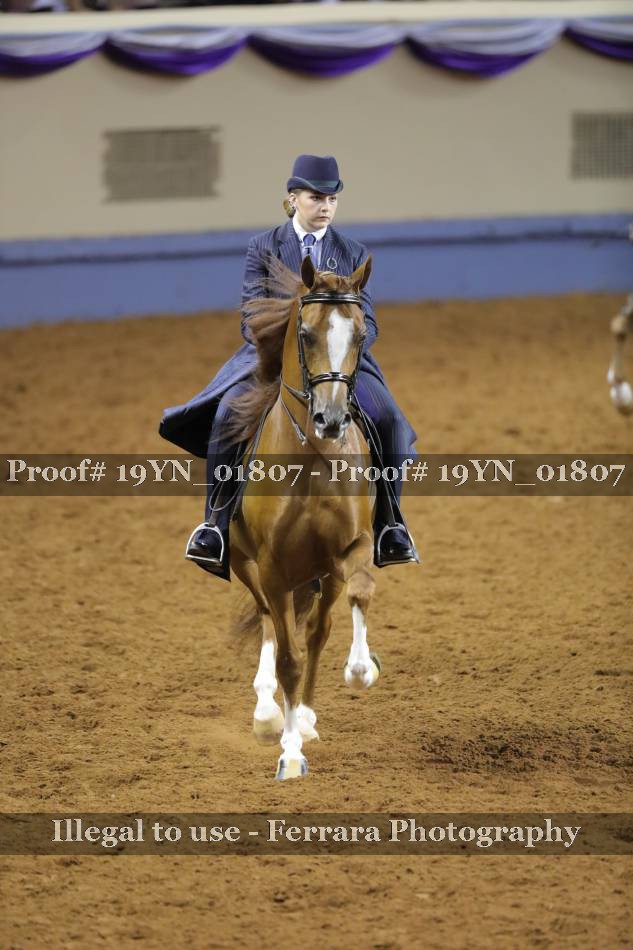 Proof 19YN_01807