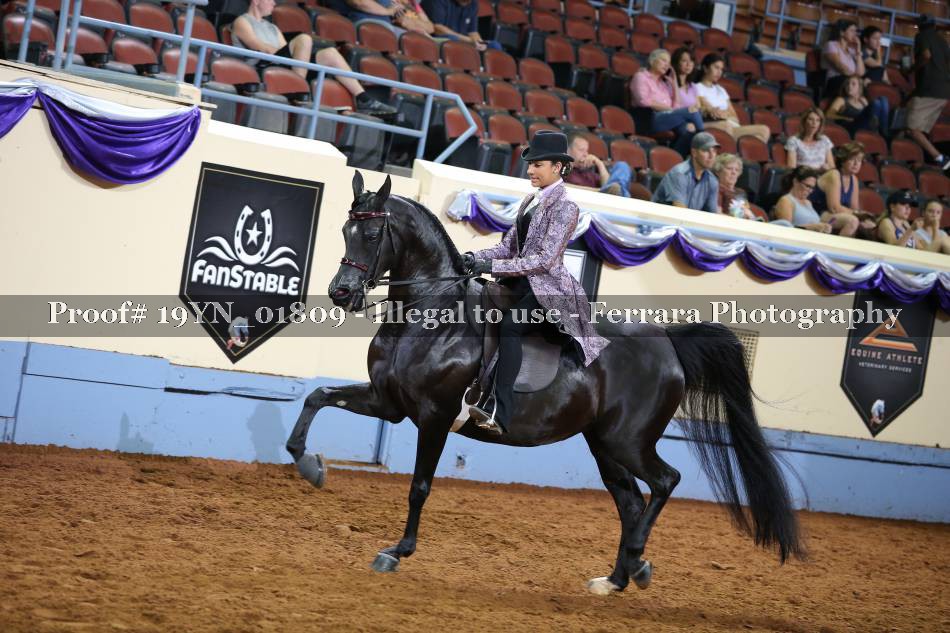 Proof 19YN_01809