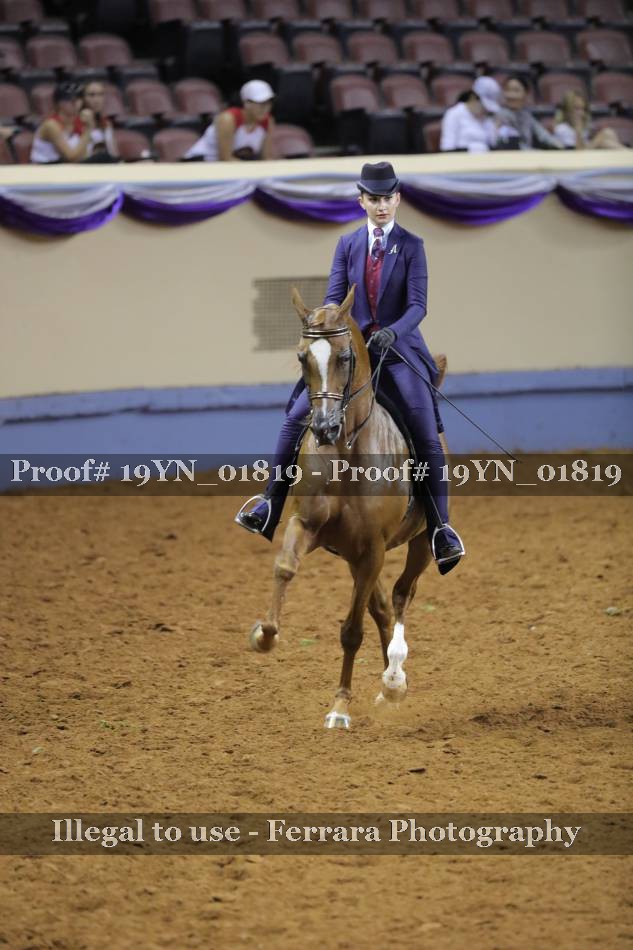 Proof 19YN_01819
