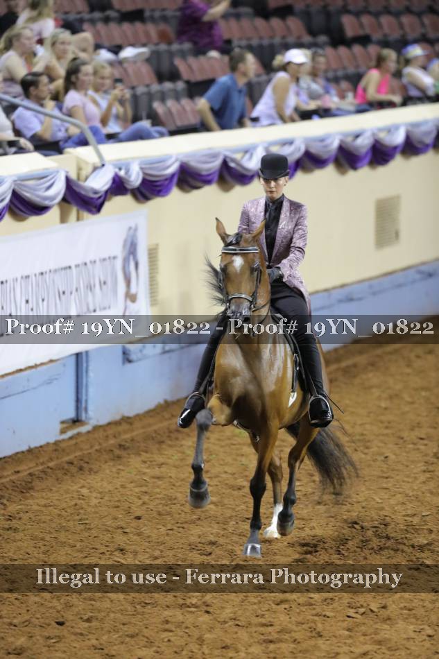Proof 19YN_01822