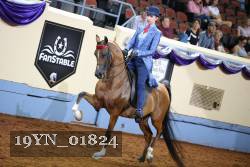 19YN_01824 proof