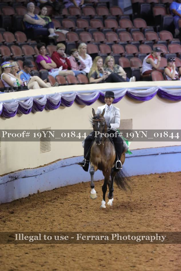 Proof 19YN_01844