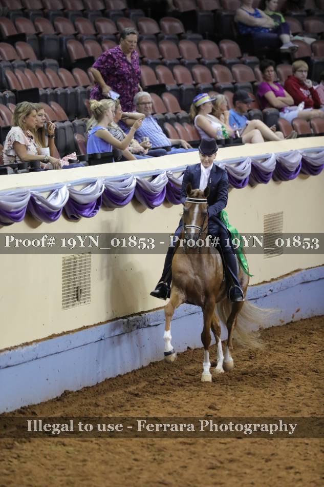 Proof 19YN_01853