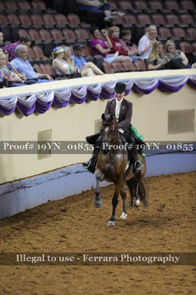 Proof 19YN_01855