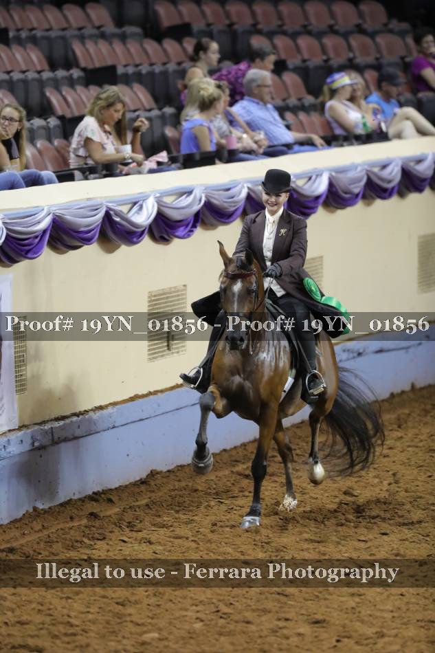 Proof 19YN_01856