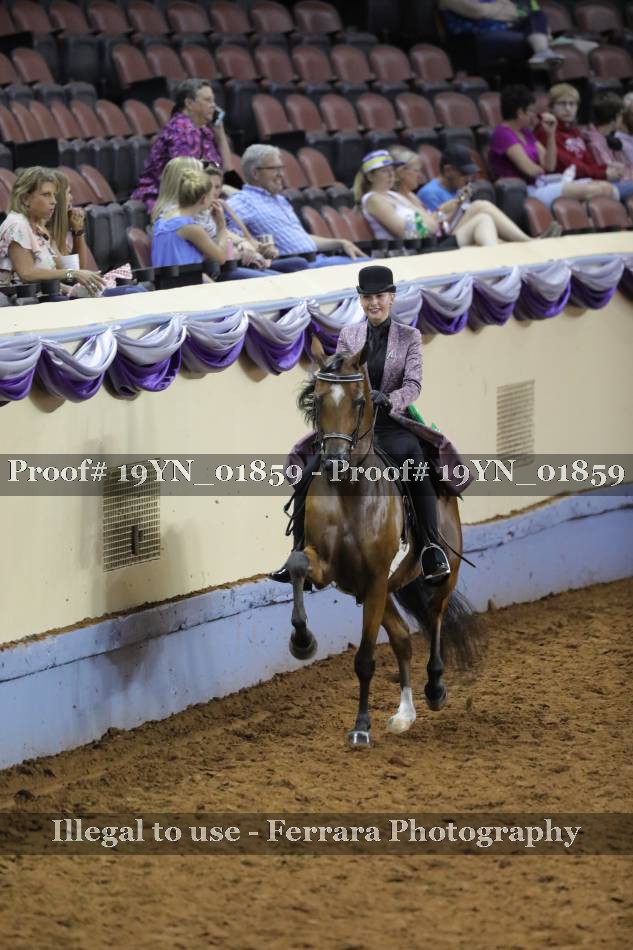 Proof 19YN_01859