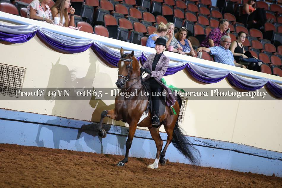 Proof 19YN_01865