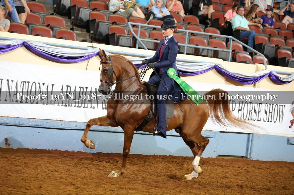 Proof 19YN_01871