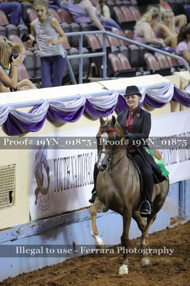 Proof 19YN_01875
