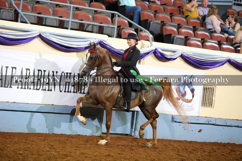 Proof 19YN_01878