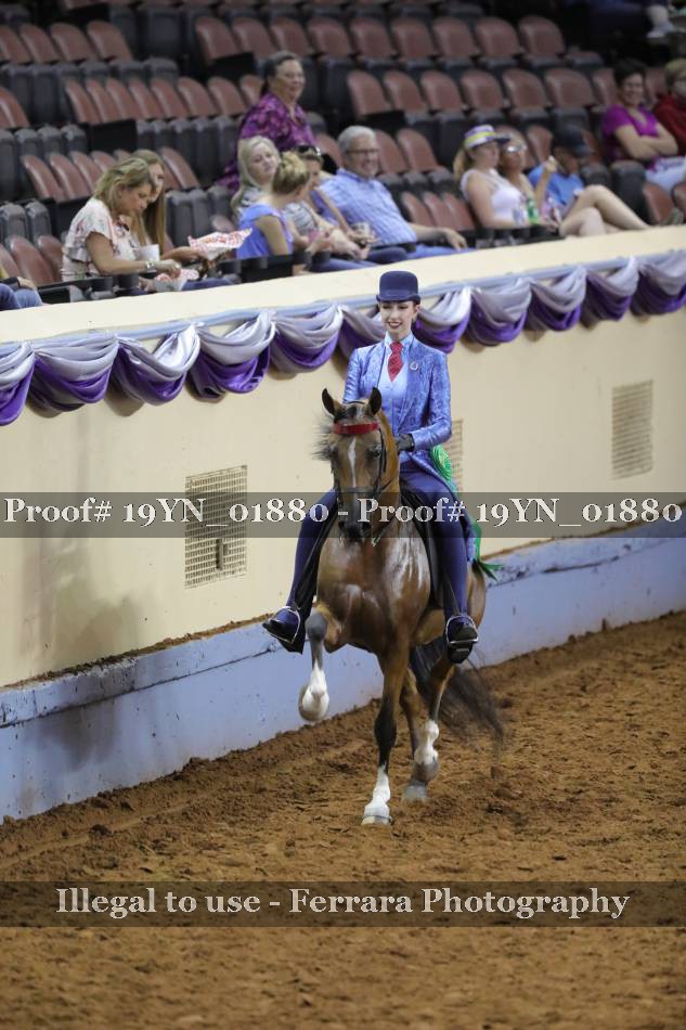 Proof 19YN_01880
