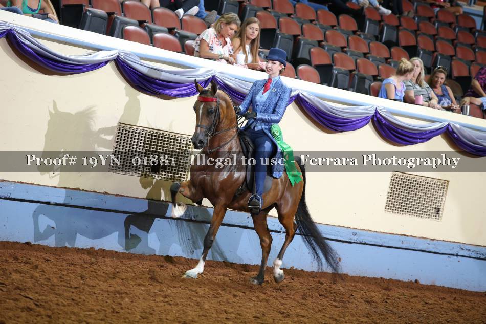 Proof 19YN_01881