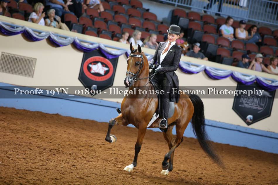 Proof 19YN_01890