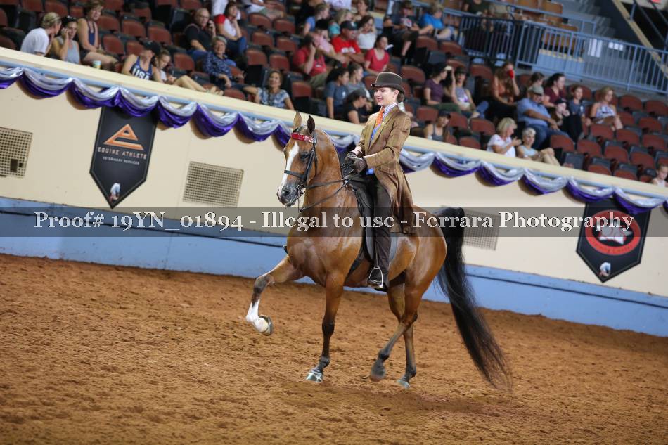 Proof 19YN_01894