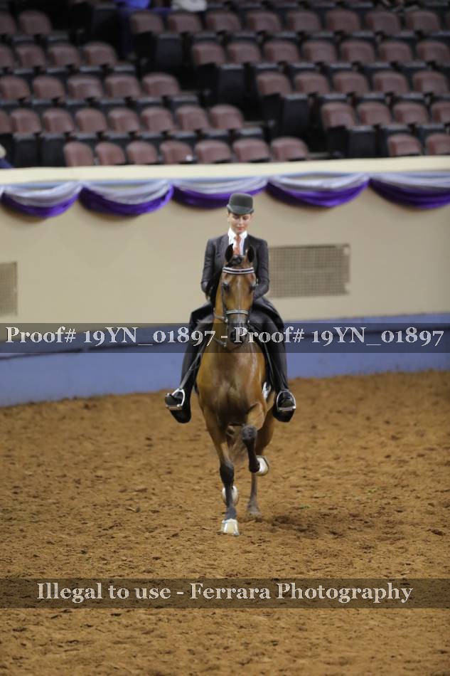 Proof 19YN_01897