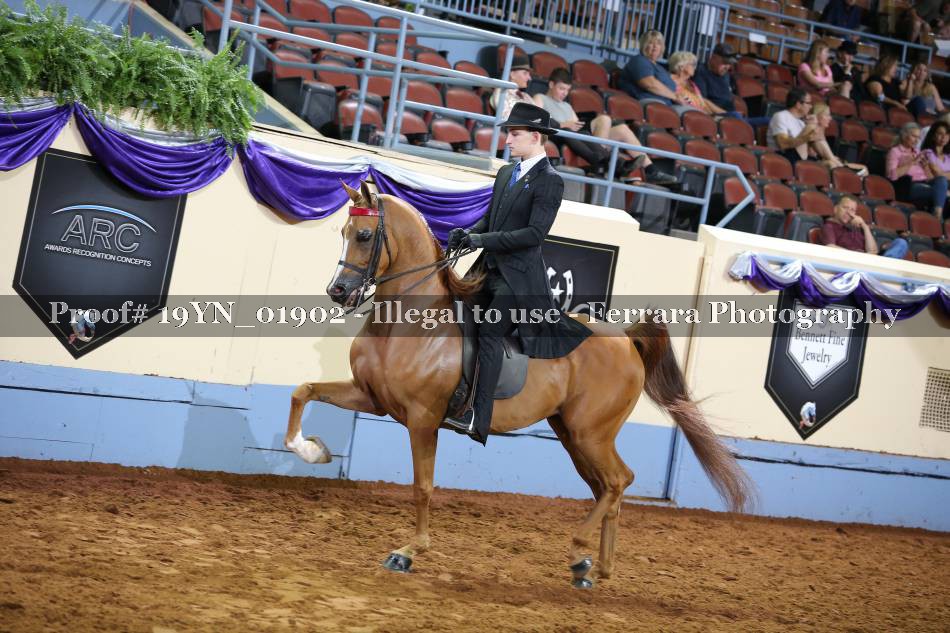 Proof 19YN_01902
